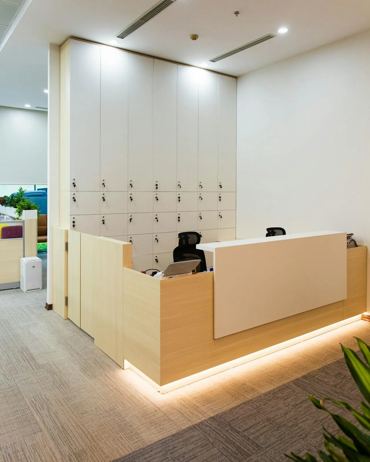 Modern open-plan commercial office with desks and glass walls, the kind of space Frisco Brothers maintains